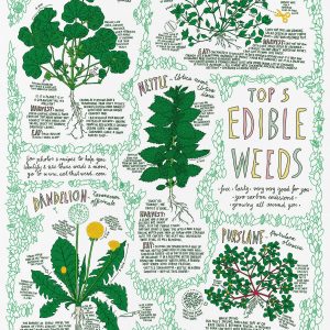 Top 5 Edible Weeds poster